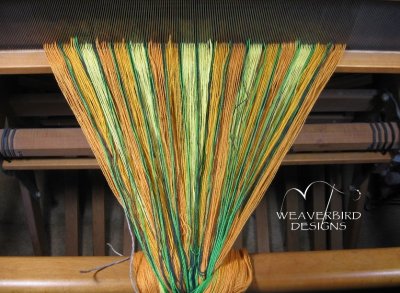 Reed sleyed, ready to thread the heddles