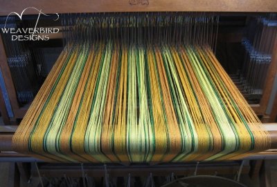 Beamed warp, from the back