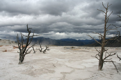 Yellowstone