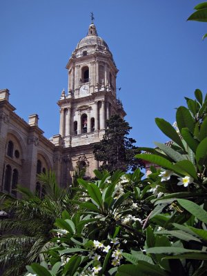 Catedral de la Encarnacin