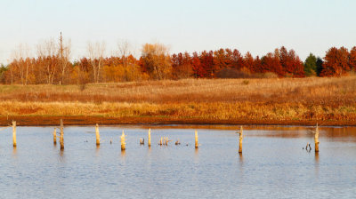 Autumn at Afton