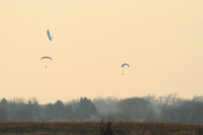 Flyday on Sunday