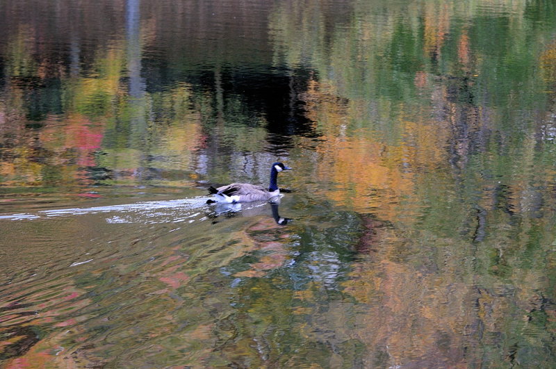 D33_6911.jpg