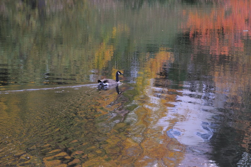 D33_6914.jpg