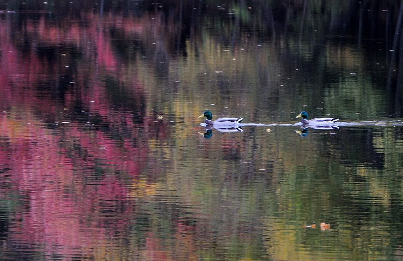 D33_6928.jpg