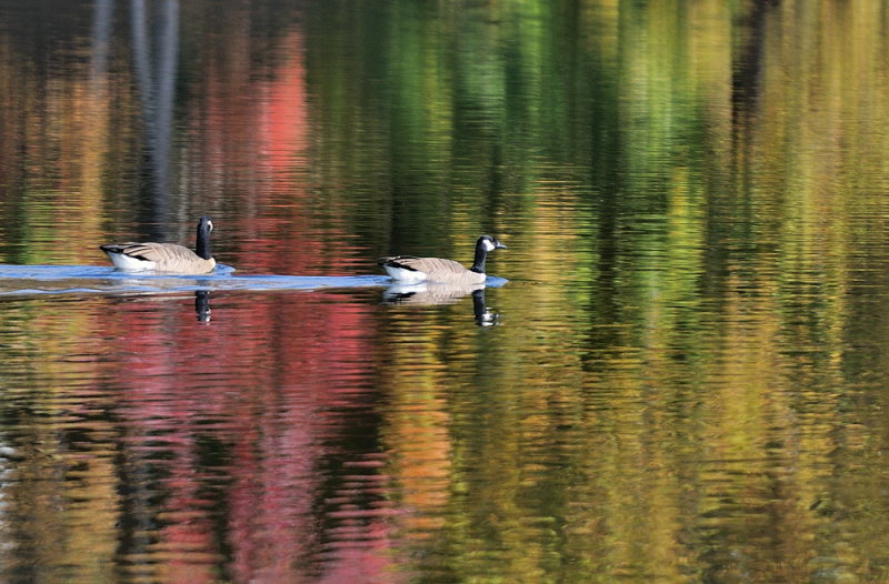 D33_7120.jpg