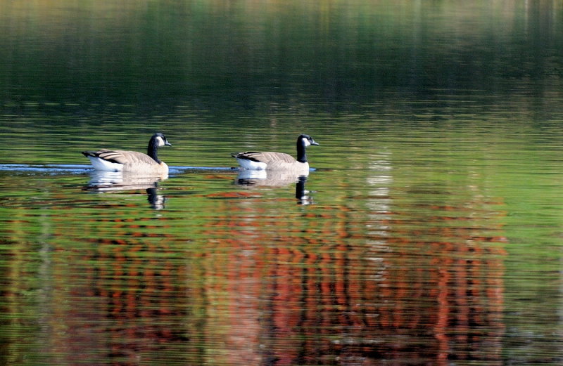 D33_7135.jpg