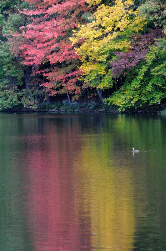 D33_6692.JPG