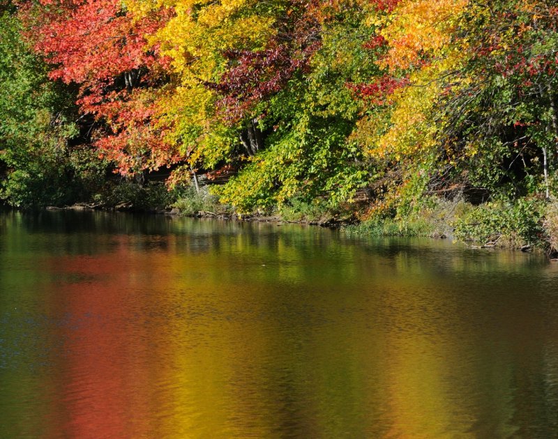 D33_6746.JPG