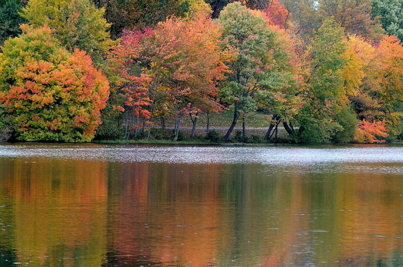 D33_6789.jpg