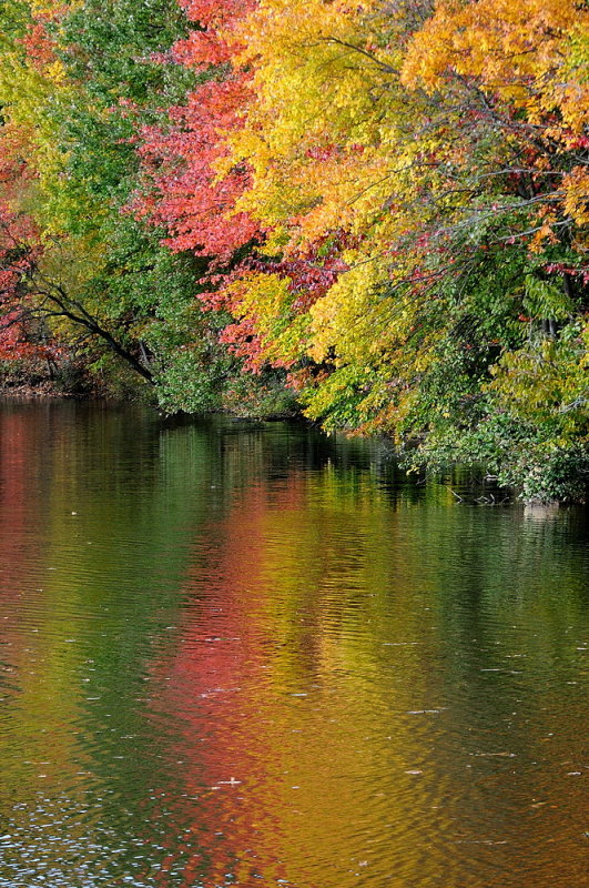 D33_6850.jpg
