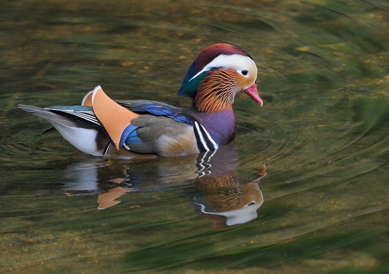 D33_6360.jpg