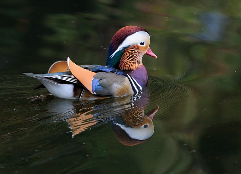 D33_6362.jpg