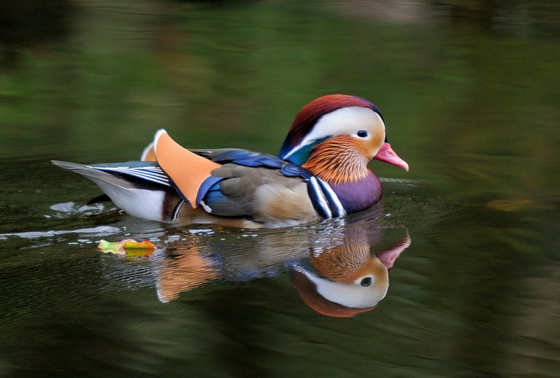 D33_6377.jpg