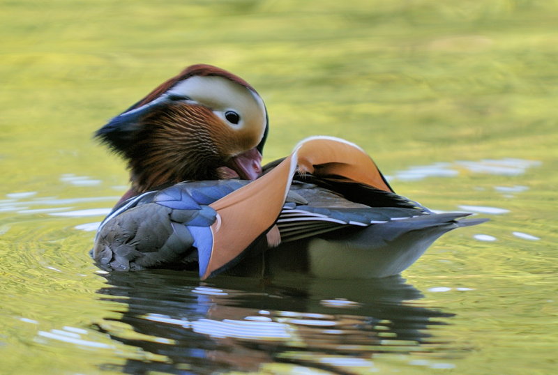 D33_6114.jpg