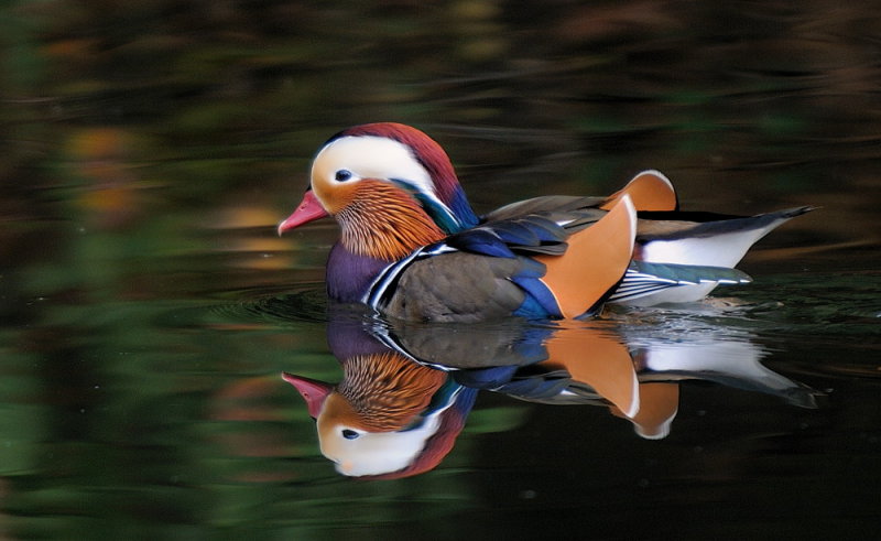 D33_6328.jpg