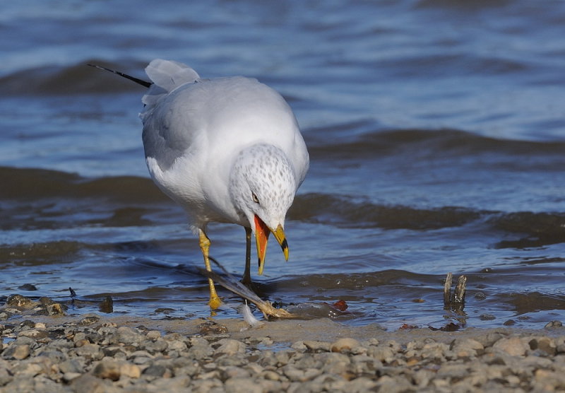 D34_7293.jpg