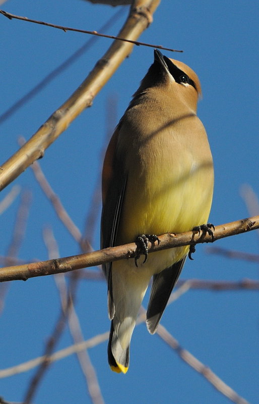 D34_7399.jpg