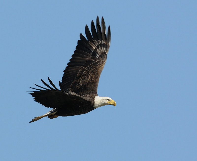 D34_7502.jpg