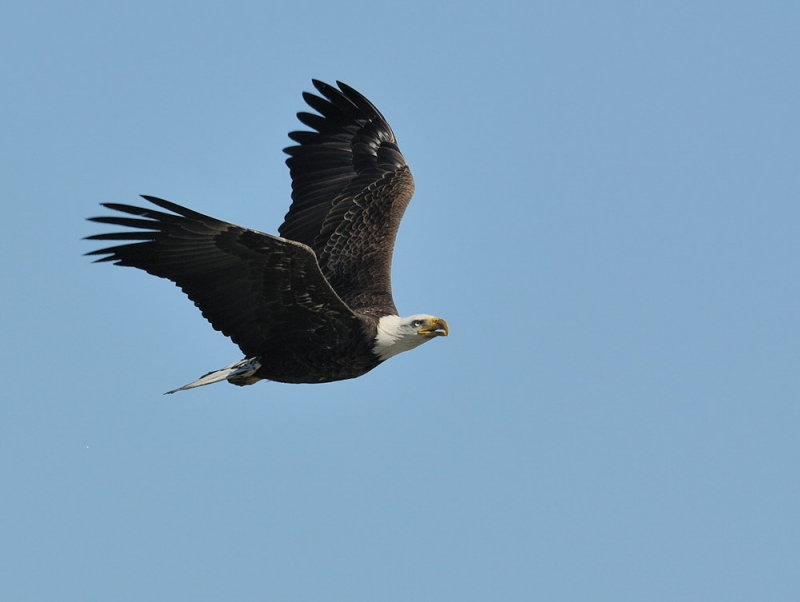 D34_7560.jpg