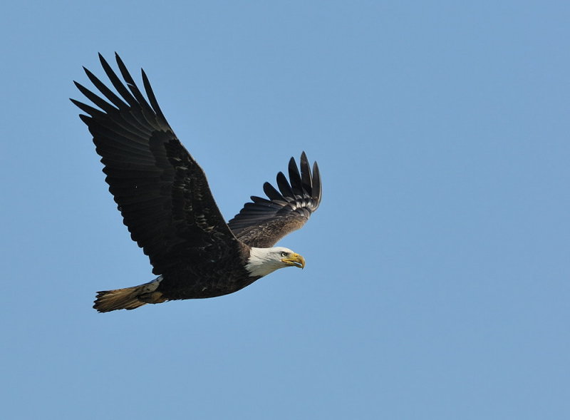 D34_7562.jpg