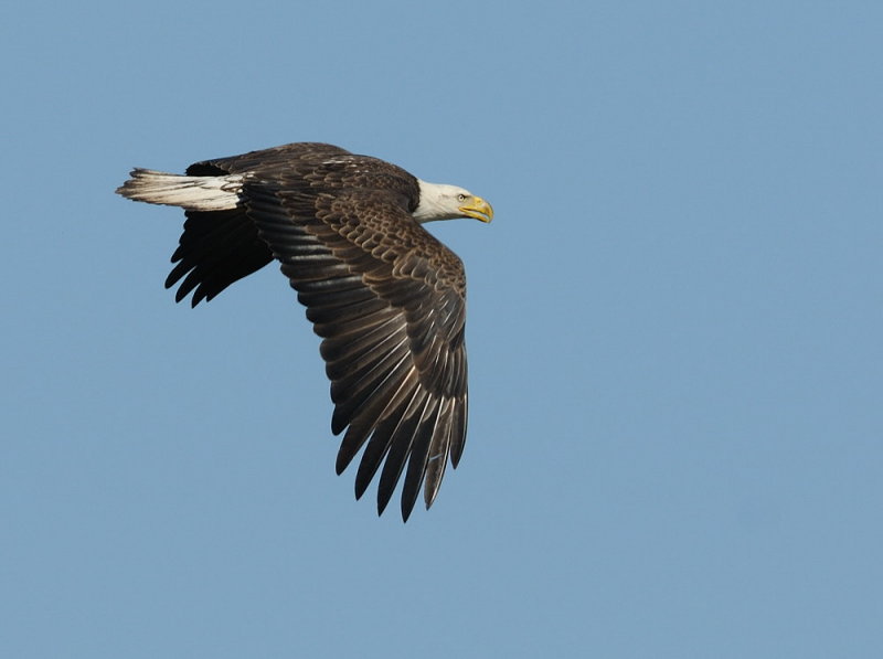 D34_7556.jpg
