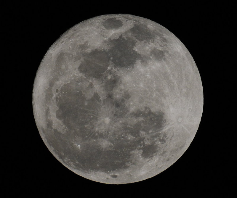 D34_7780.jpg