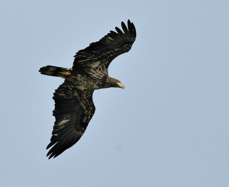 D34_7703.jpg