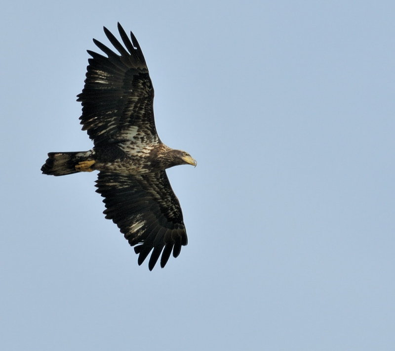 D34_7715.jpg