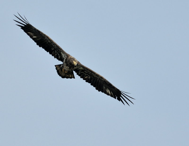 D34_7723.jpg
