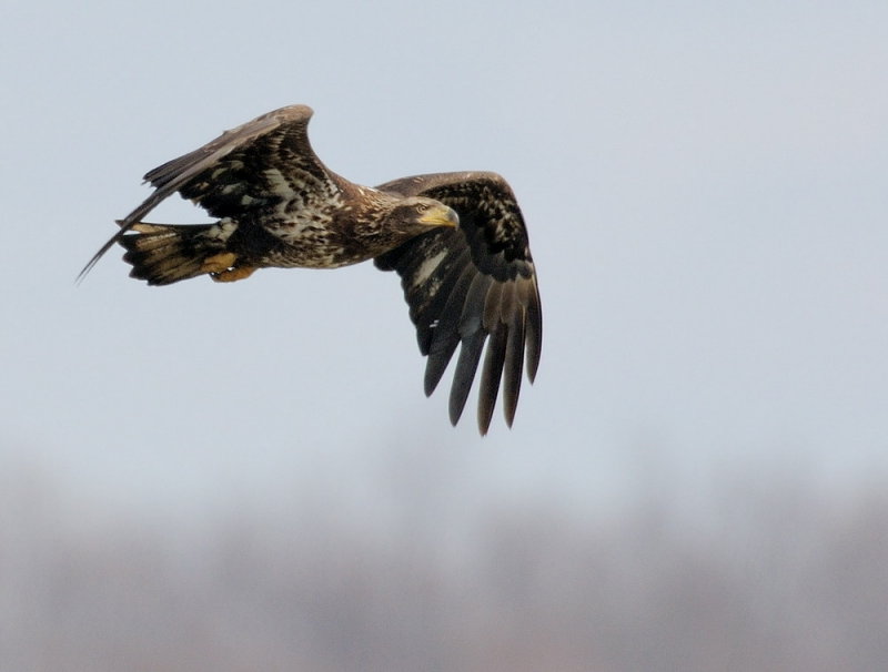 D34_7760.jpg