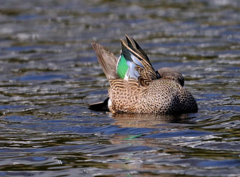 D34_8501.jpg