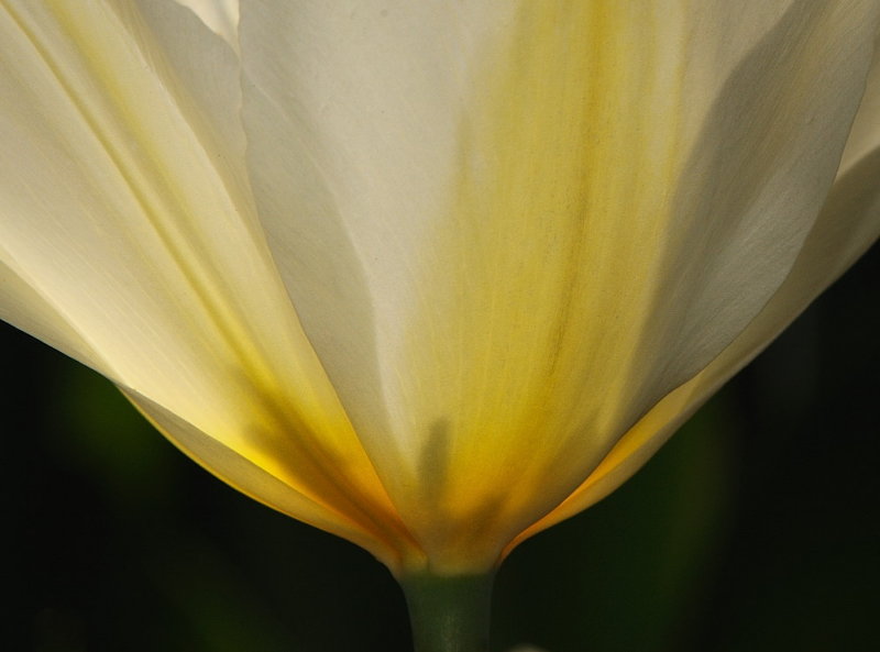 D34_9209.jpg