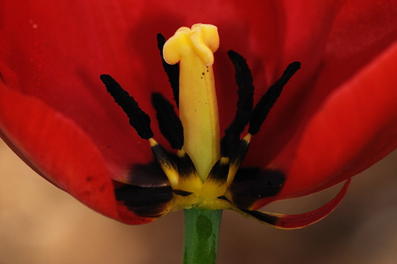 D34_9225.jpg