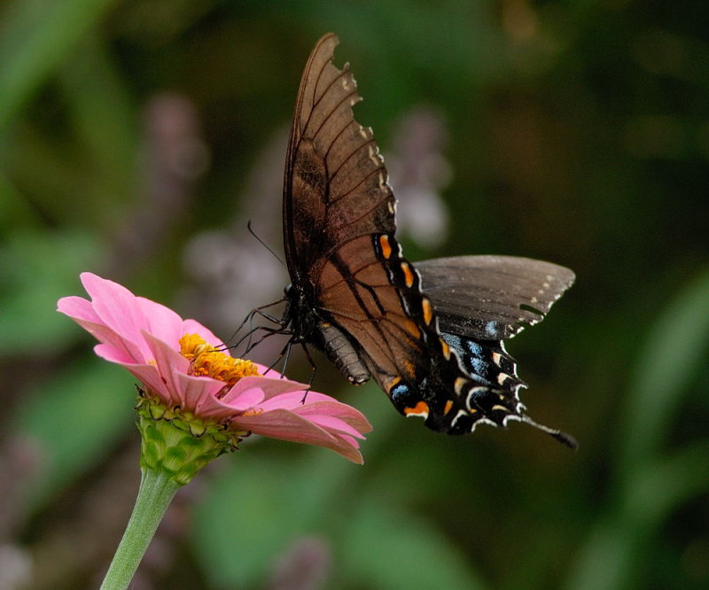 D20_2380 copy.jpg