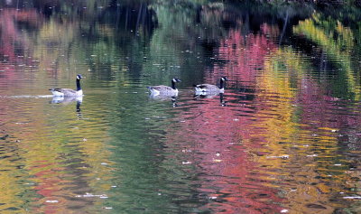 D33_6938.jpg