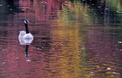 D33_6942.jpg