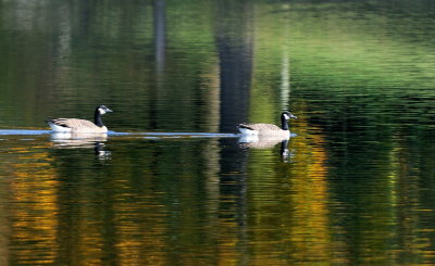 D33_7128.jpg