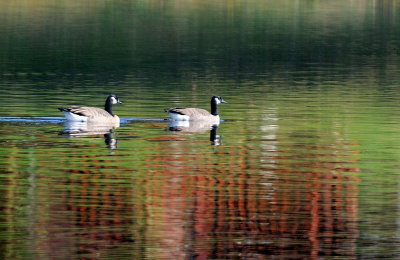 D33_7135.jpg