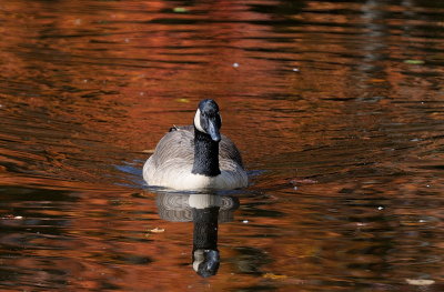 D33_7208.jpg