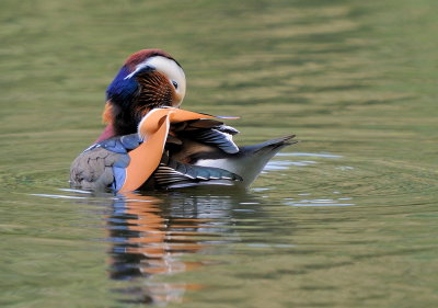 D33_6243.jpg