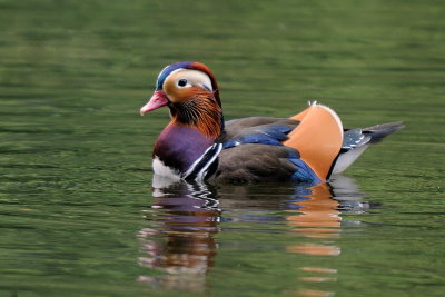 D33_6261.jpg