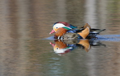D34_6601.jpg
