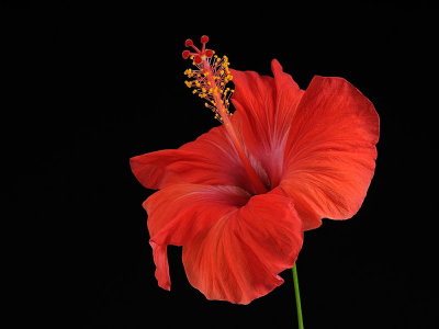 D34_7075.jpg