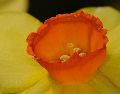D34_9161.jpg