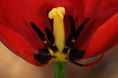 D34_9225.jpg