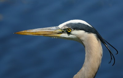 D35_0186.jpg