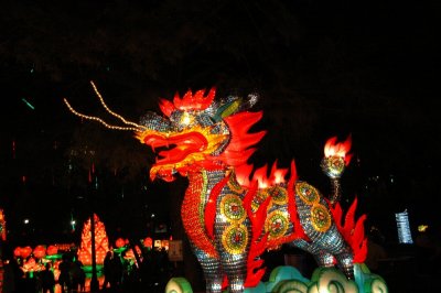 DSC_2896.JPG