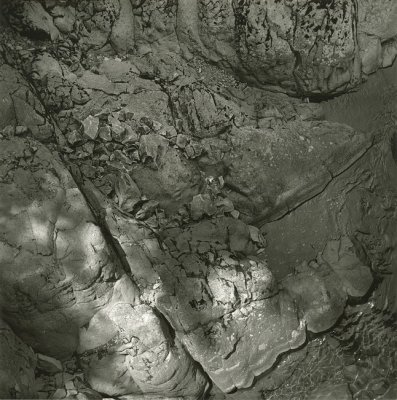 washugal3.jpg