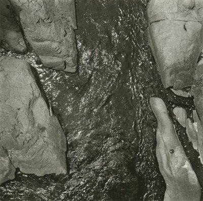 washugal-1.jpg